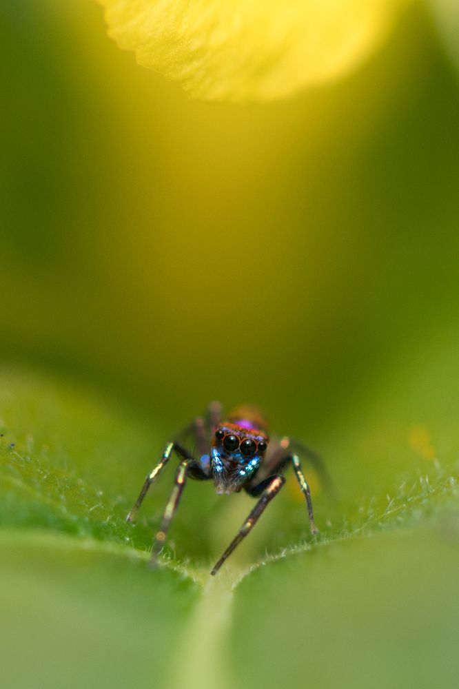 Photograph by Gimantha Perera