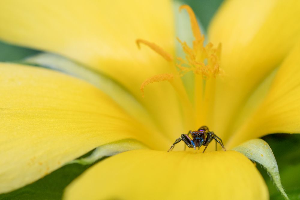 Photograph by Gimantha Perera