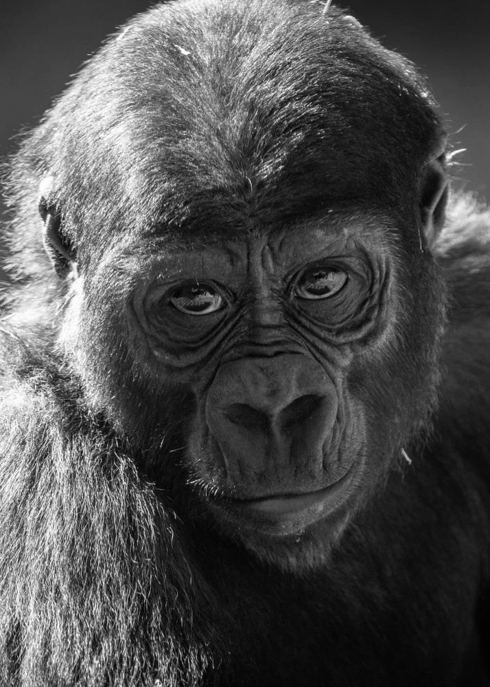 Photograph by Janet Williams