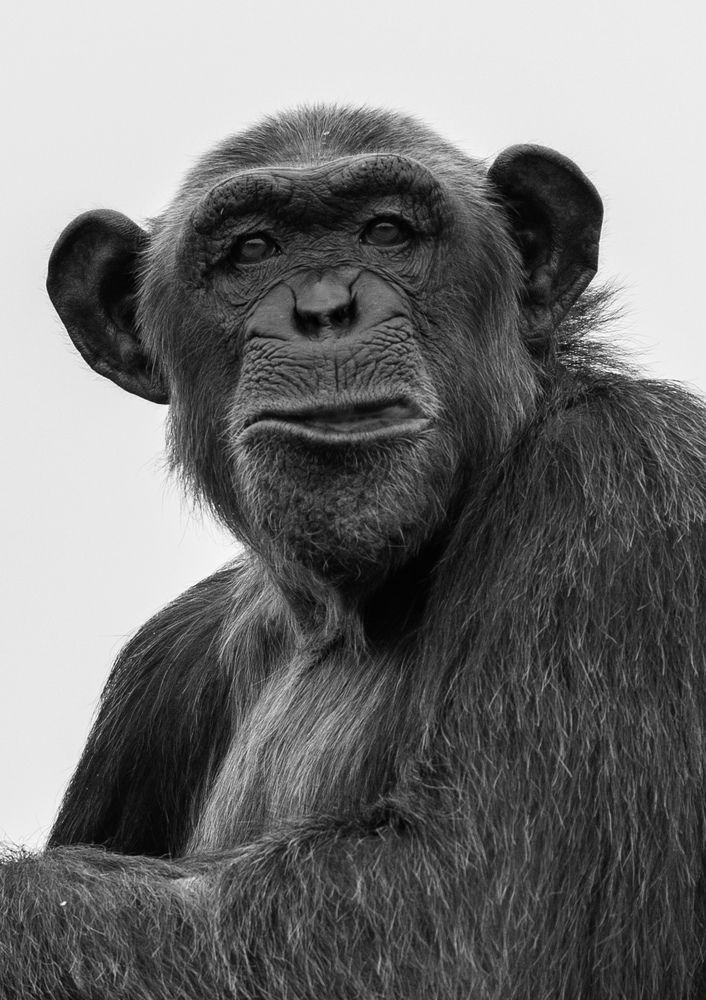 Photograph by Janet Williams