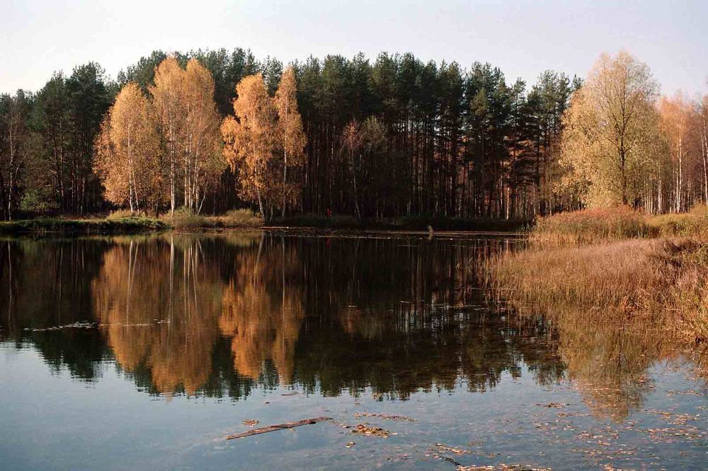 Photograph by Игорь Пшеничников