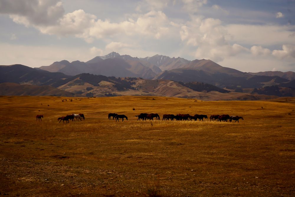 Photograph by Olesia Chepurchenko