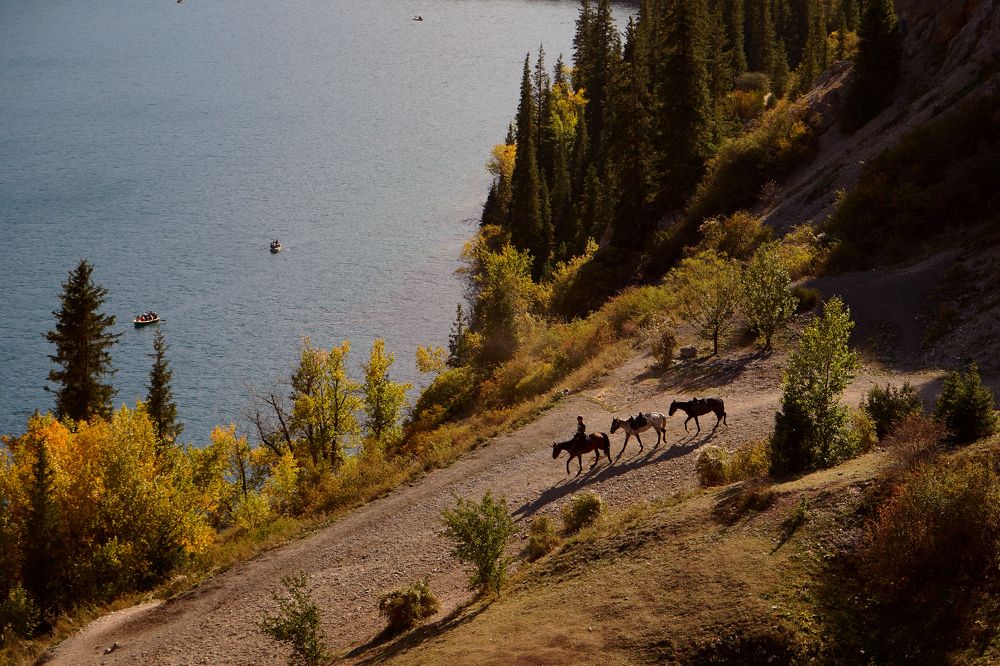 Photograph by Olesia Chepurchenko