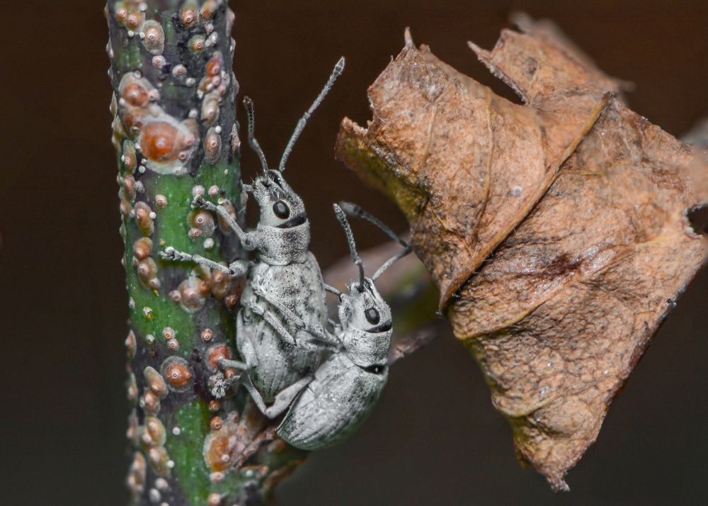 Photograph by Gimantha Perera