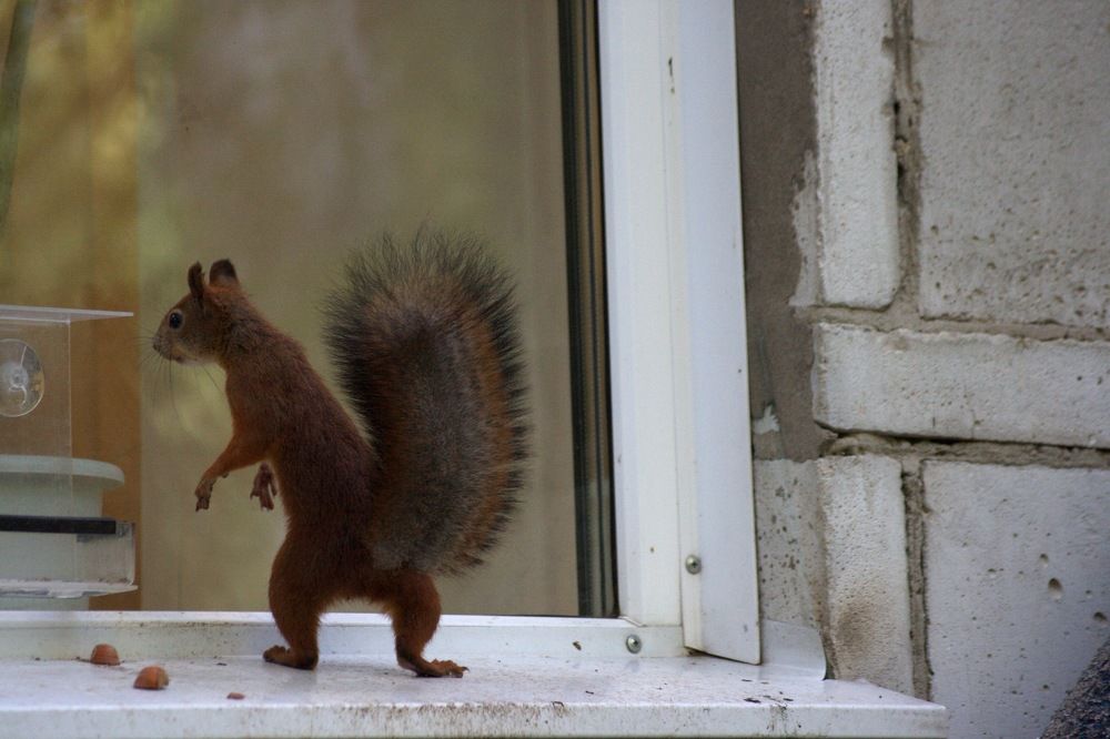 Photograph by Ирина Вассерлауф