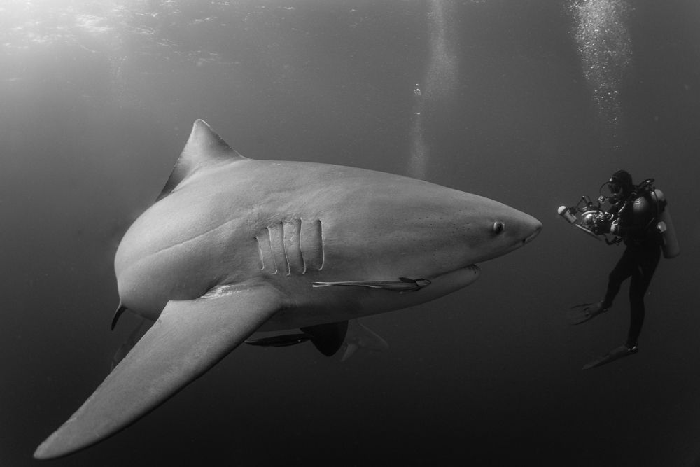 Photograph by Mizael Palomeque