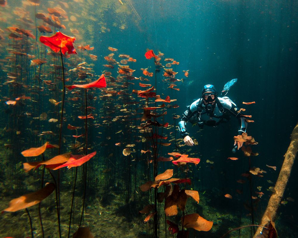 Photograph by Mizael Palomeque