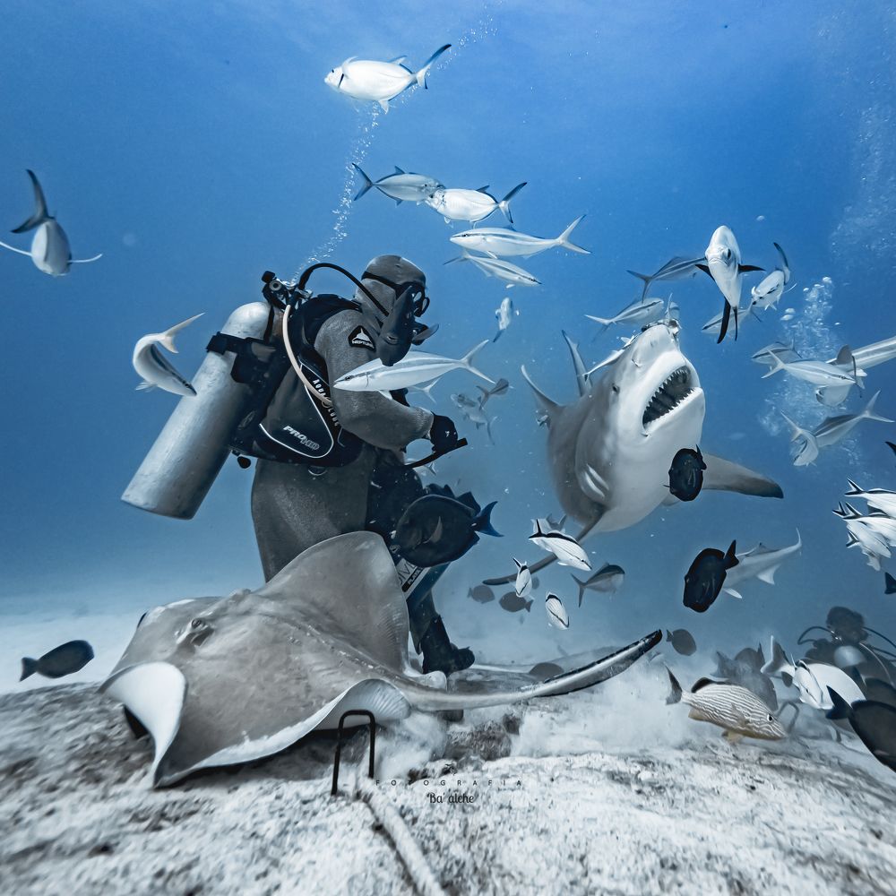 Photograph by Mizael Palomeque