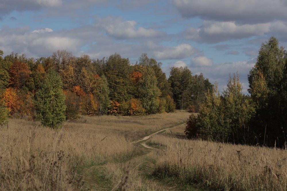 Photograph by Liudmila