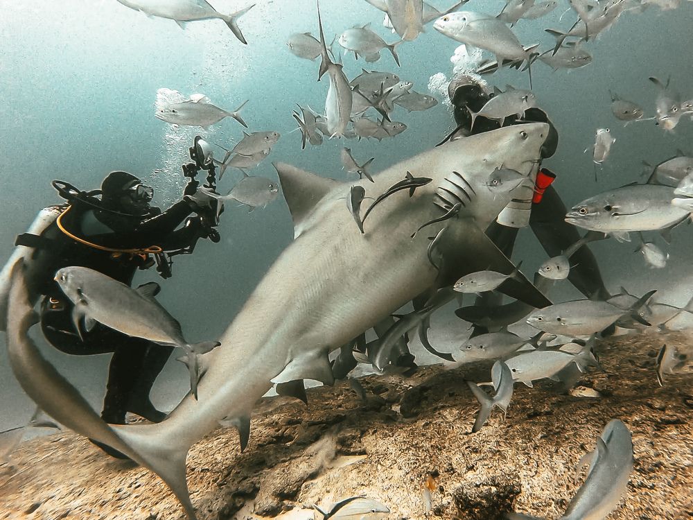 Photograph by Mizael Palomeque