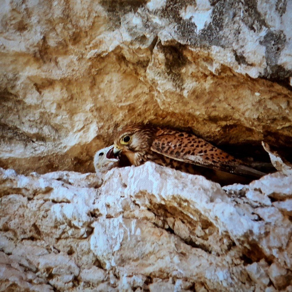 Photograph by Jema marsh