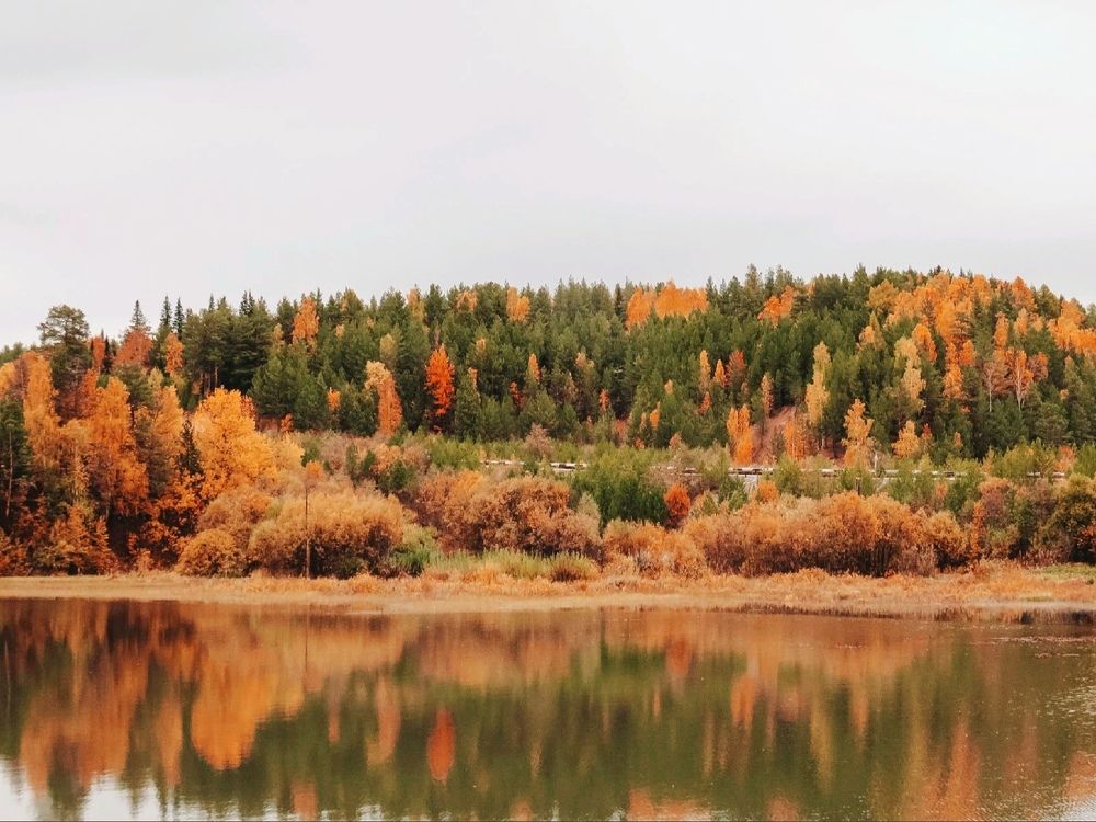 Photograph by Елена Гарипова