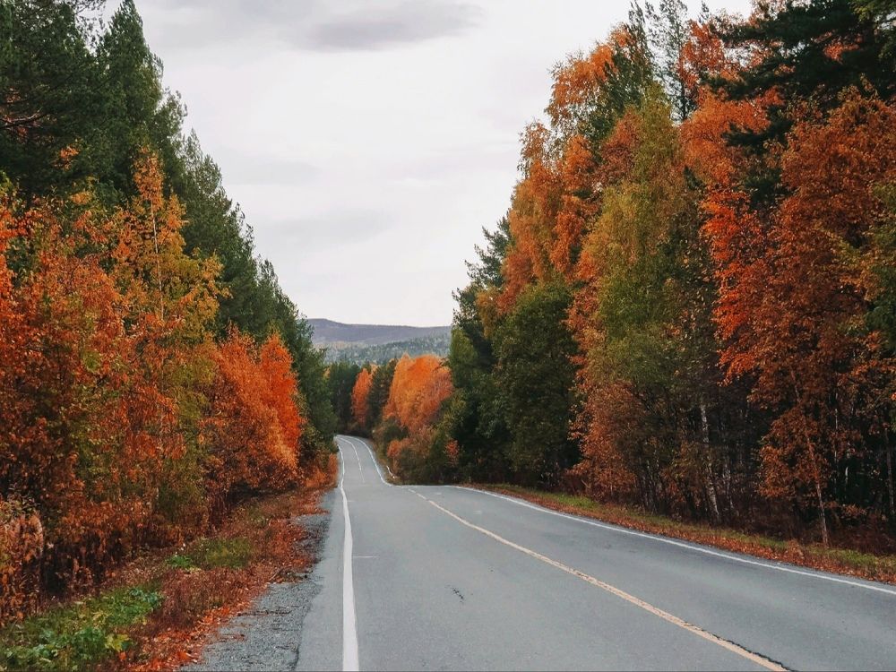 Photograph by Елена Гарипова