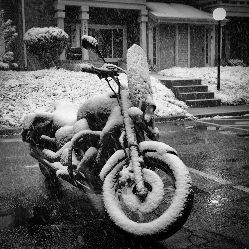 Photograph by Dragos Tranca