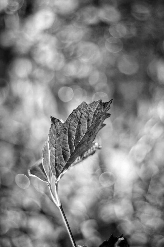 Photograph by Игорь Маслов