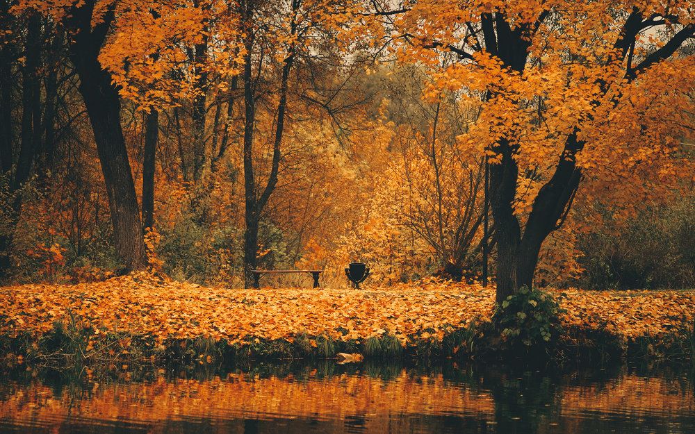 Photograph by Aleksey Leskov