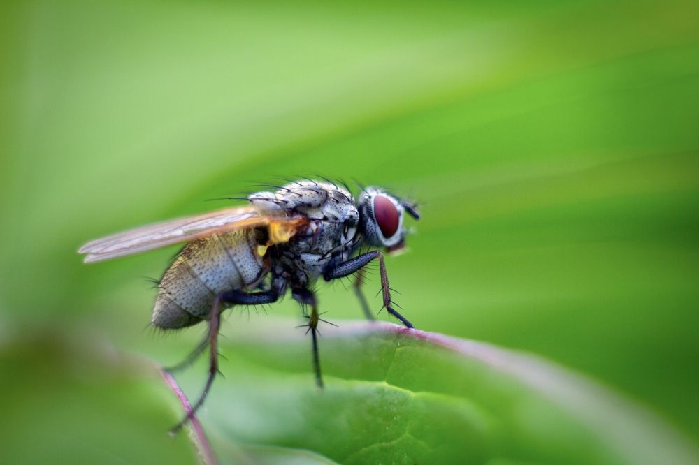 Photograph by Сергей Фаренюк