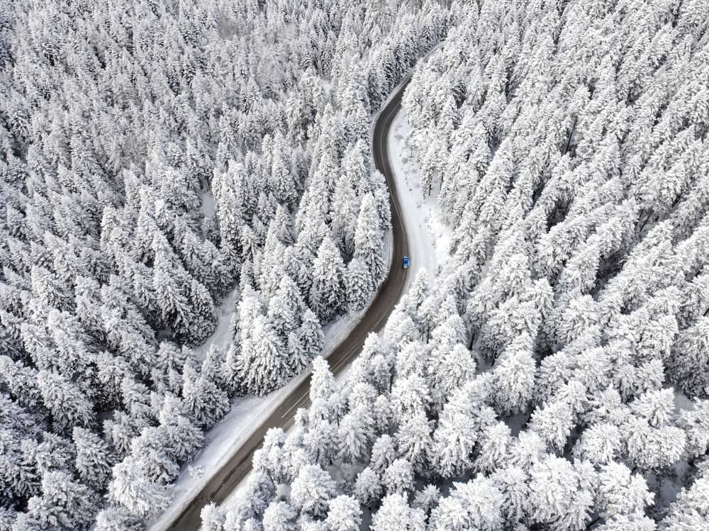 Photograph by İsmail serhat Şahin