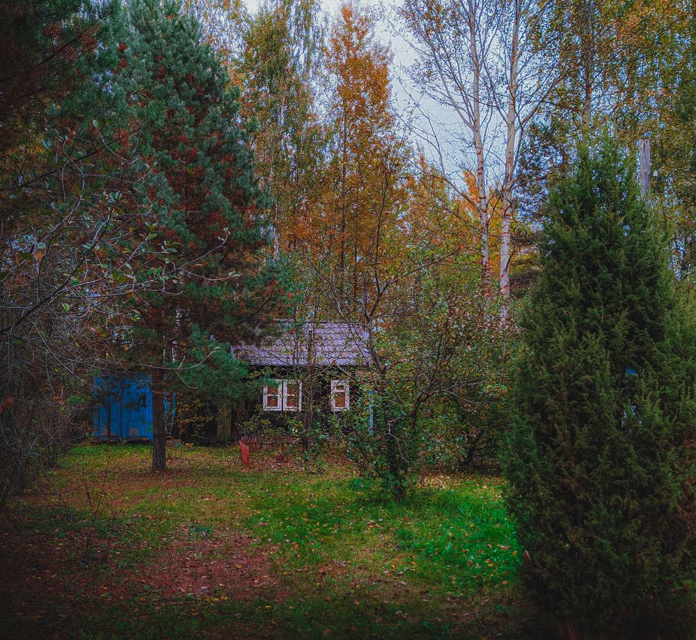 Photograph by Валерий Рожков