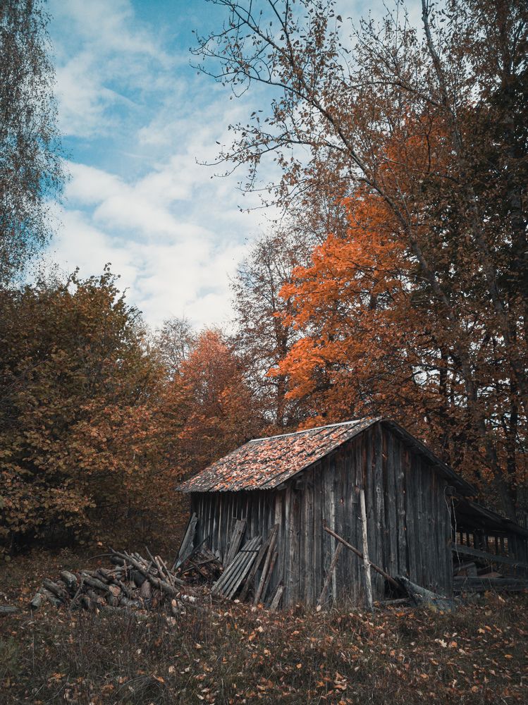 Photograph by Алексей Крукович