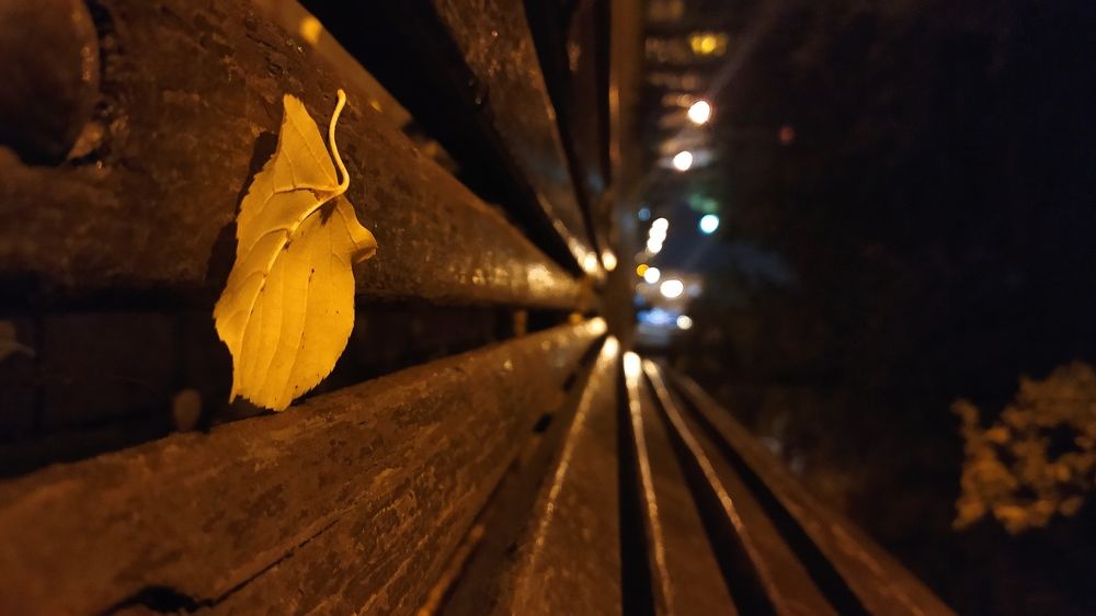 Photograph by Станислава Толмачева