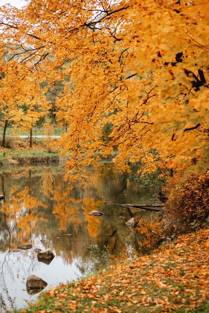 Photograph by Лидия Тюлькубаева