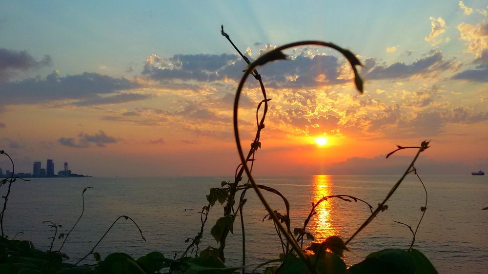Photo #6544920