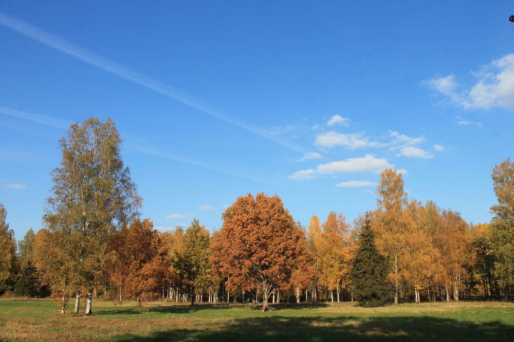 Photograph by Денис Птюшкин