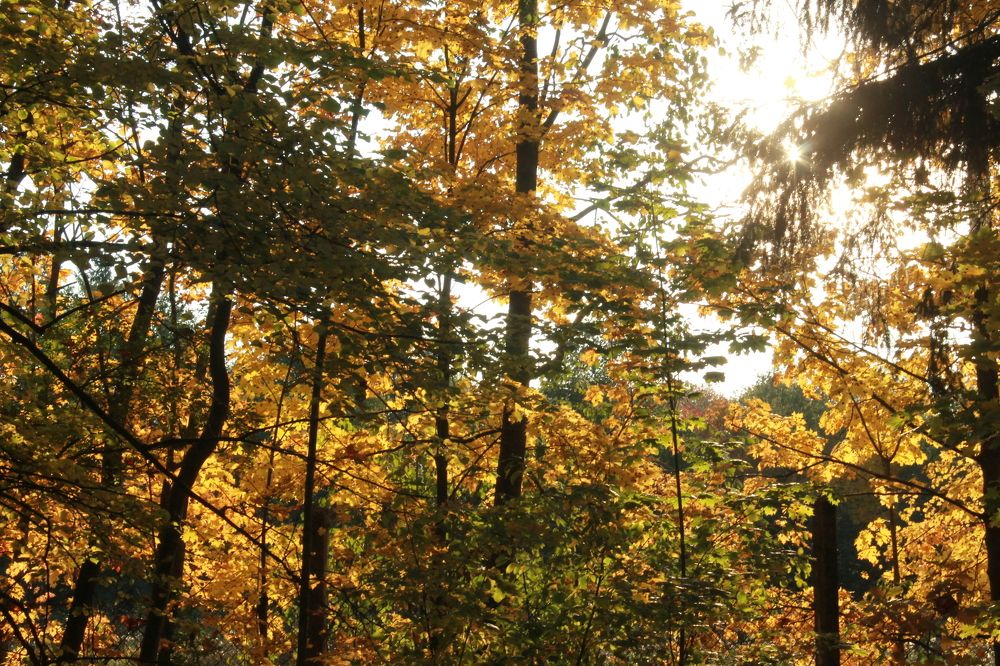 Photograph by Денис Птюшкин