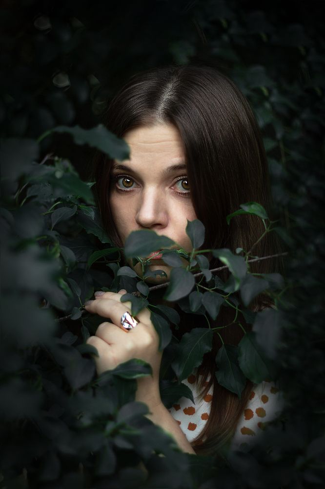 Photograph by Иван Япринцев