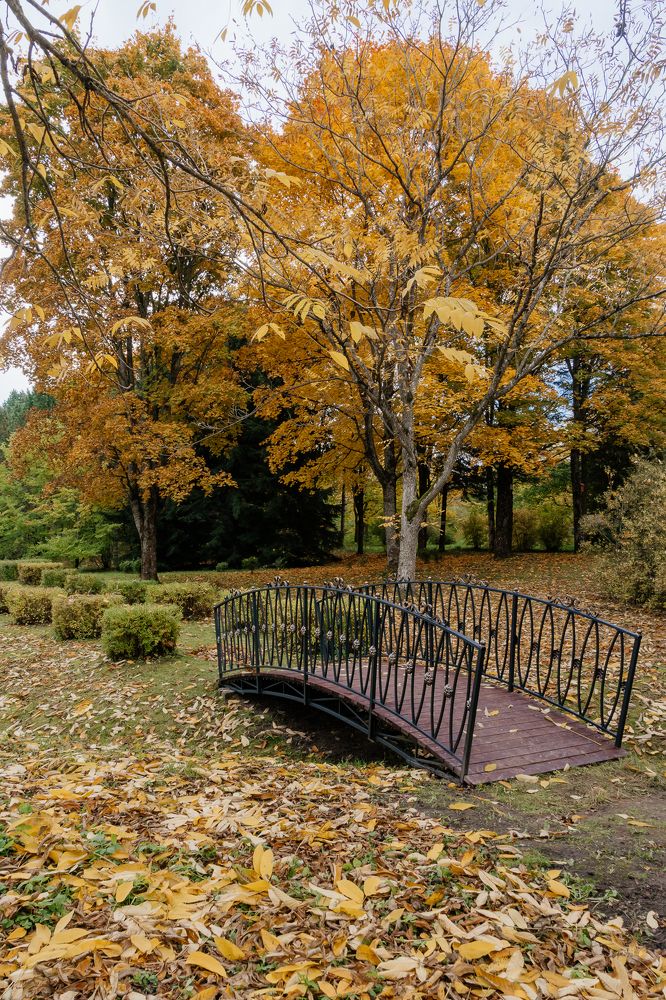 Photograph by Дмитрий Шудель