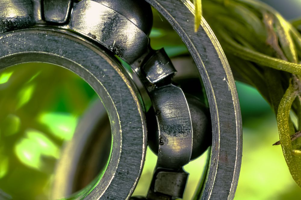 Photograph by Алексей Чеботарев