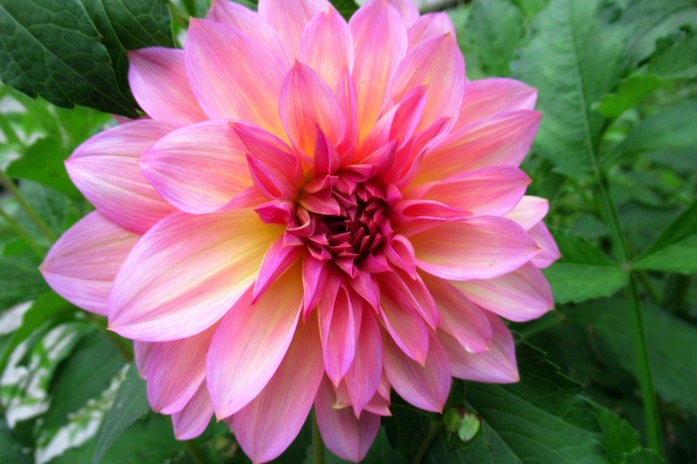 Photograph by Ольга Березовская