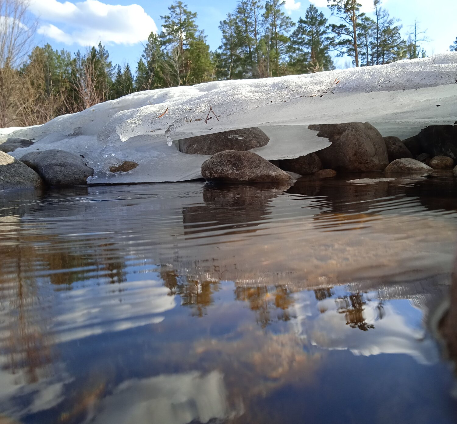 Photo #6545188