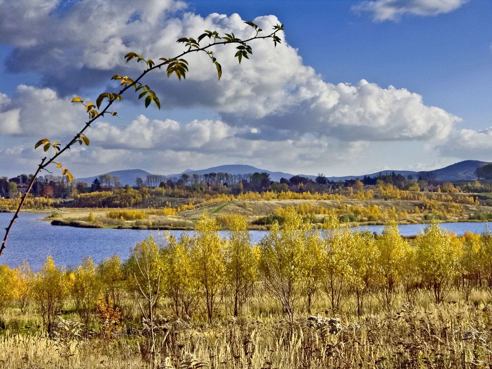 Photograph by Peter Hennig