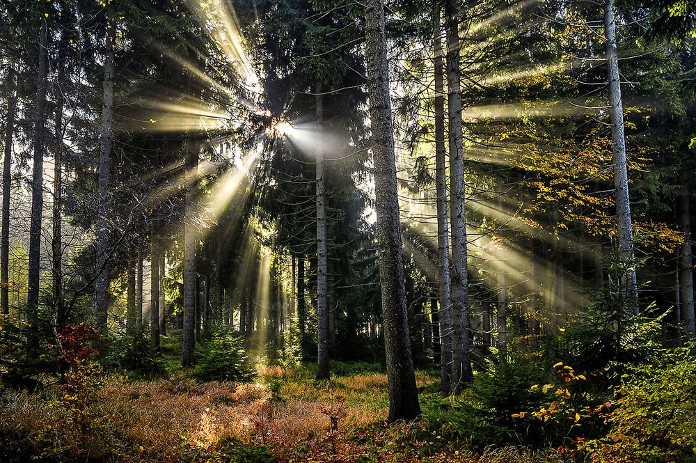 Photograph by Peter Hennig