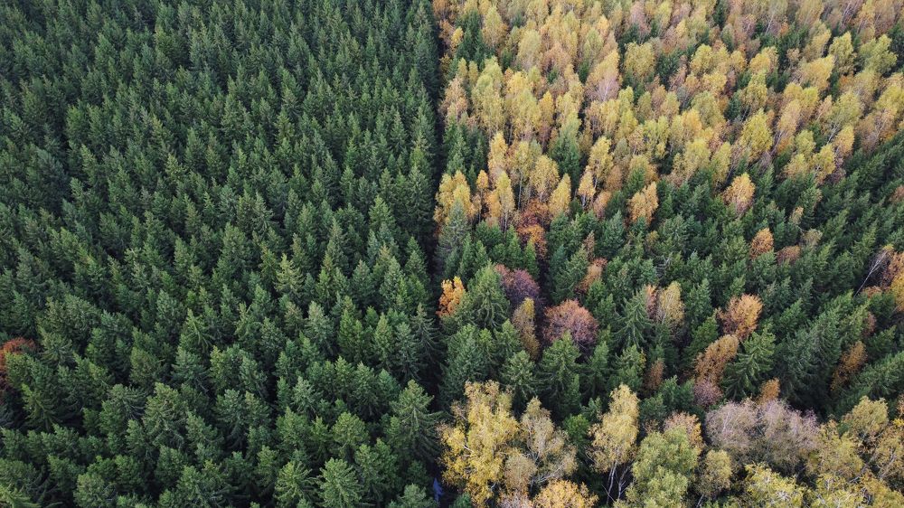 Фотография автора Коротков Алексей