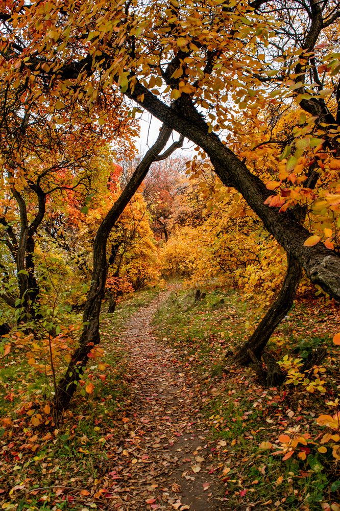 Photograph by Кристина Оксенюк