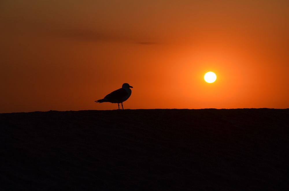 Фотография автора Денис