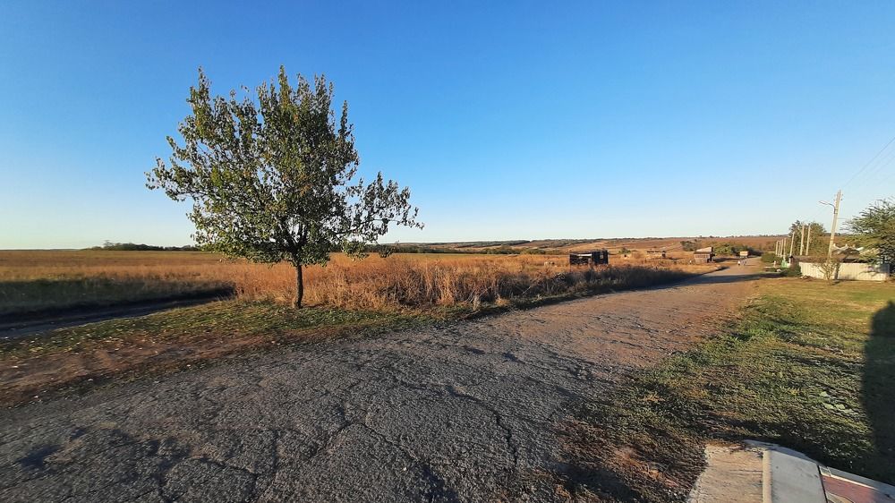 Photograph by ИГОРЬ