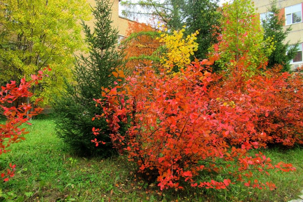 Photograph by Ольга Березовская