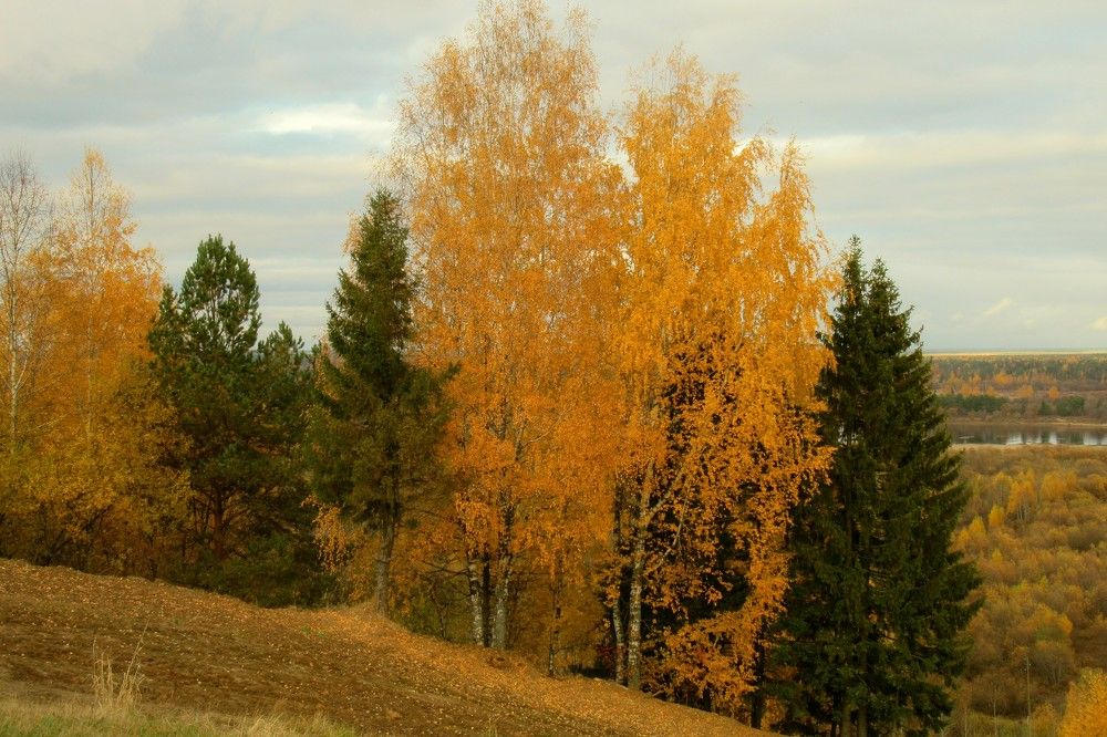 Photograph by Ольга Березовская