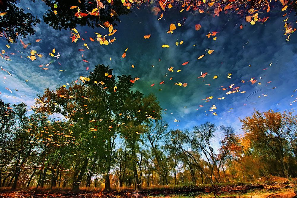 Photograph by Анна Хазова