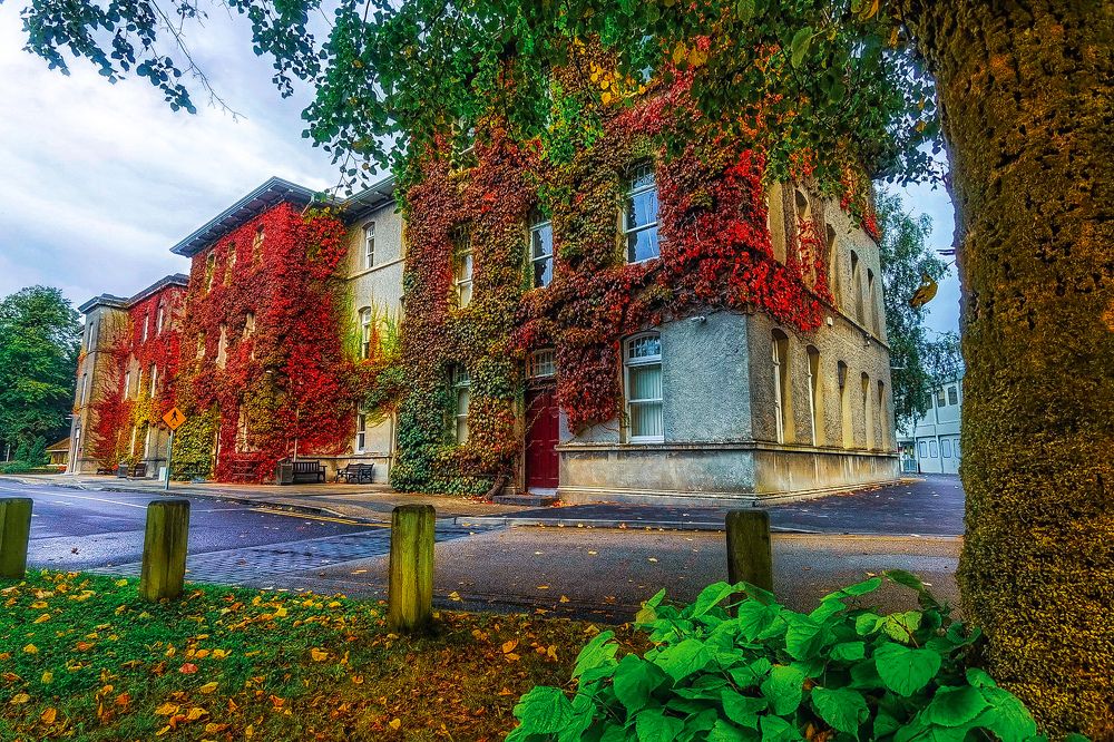 Photograph by Michael Deligan