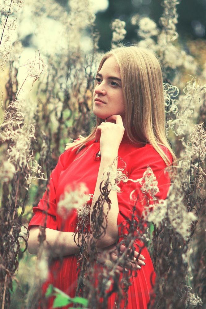 Photograph by AVDEEV NIKOLAY