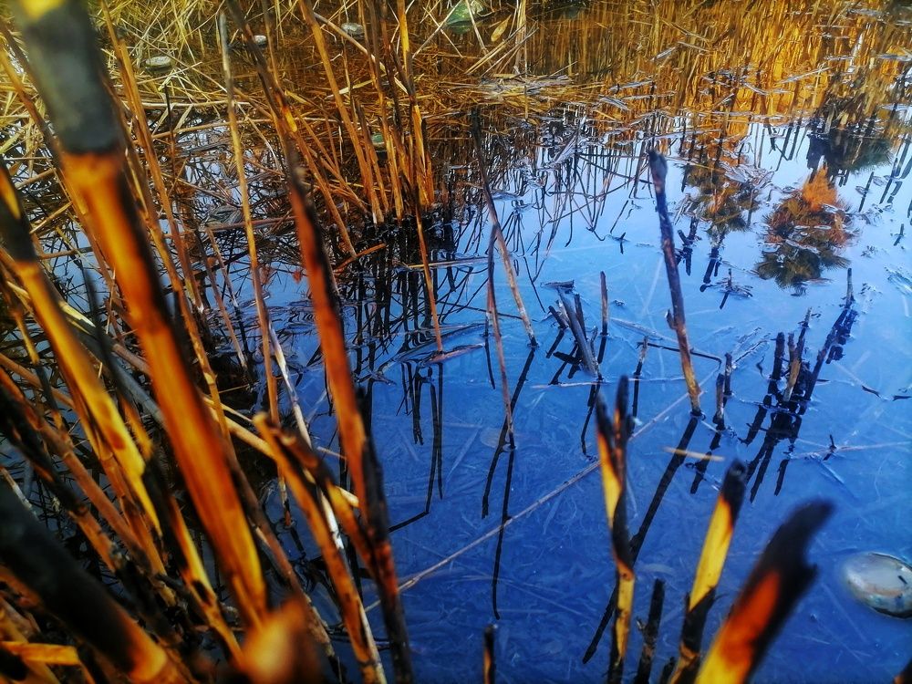 Photo #6545461
