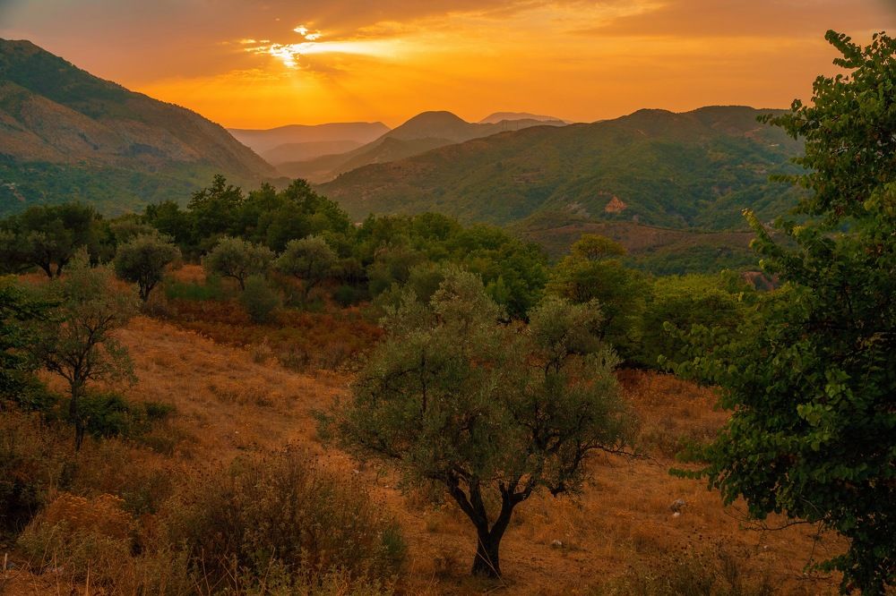 Photograph by Светлана