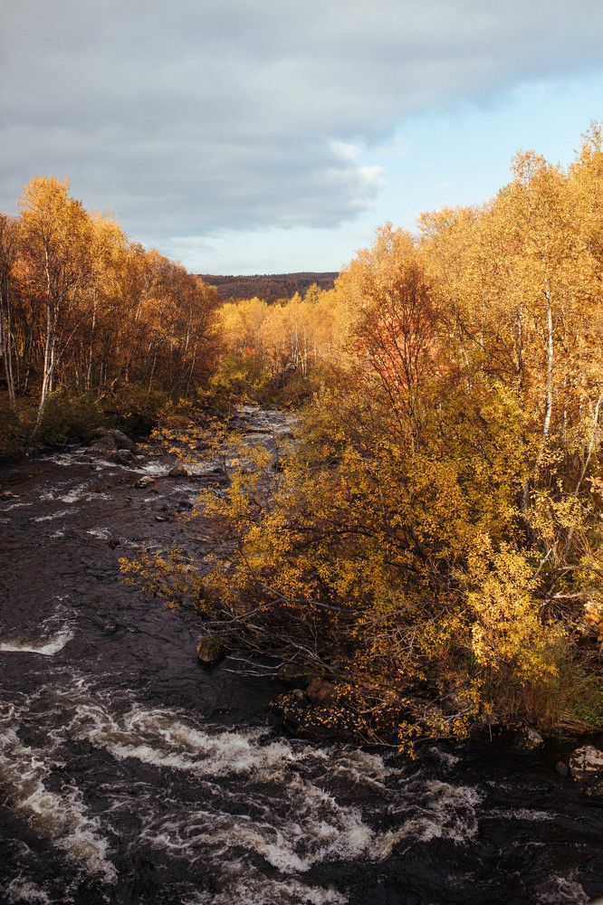 Photograph by Евгения Пирогова