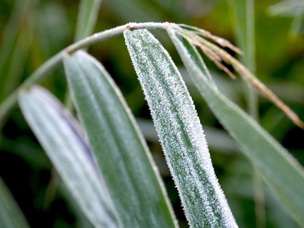 Photograph by Екатерина Шмелева