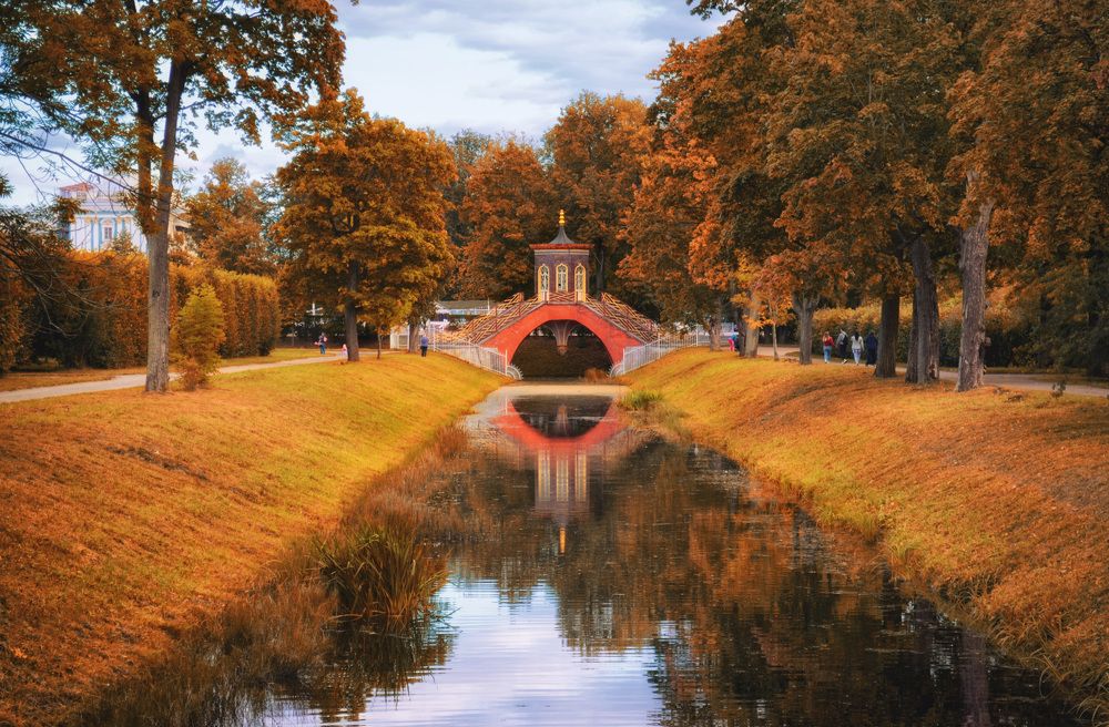 Фотография автора Юлия Широкова